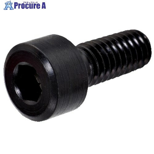 SANDVIK 六角スクリュー(810) 3212 010-365 (810) 1個 ■▼560-5971 【送料都度見積】 ●KO521