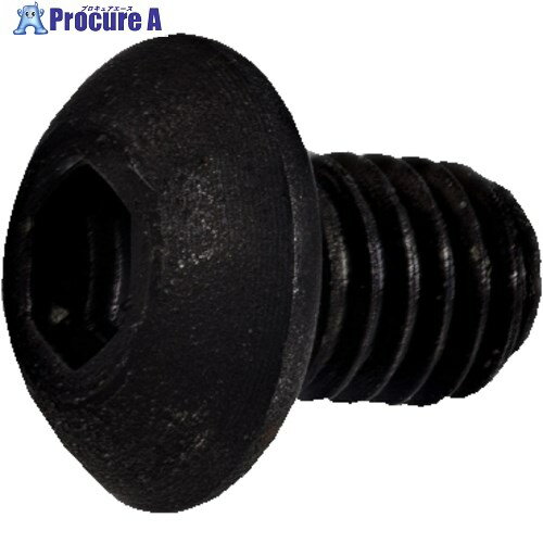 SANDVIK 六角スクリュー(810) 3212 100-257 (810) 1個 ■▼560-6551 【送料都度見積】 ●KO521