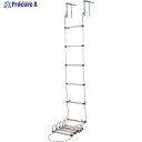 ハセガワ 蛍光避難はしご 2階用 3.9m(窓枠用フック付き)(30151) APC-4 1台 ■▼401-5768 【送料都度見積】※車上渡し※個人宅様送り不...