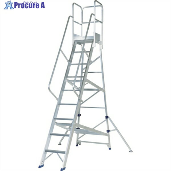 PiCa ߹ DWS 3.0m ꤹH1100 DWS-300B11H 1 836-4261 ٸѡ