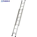 PiCa プッシュアップ式2連はしご 3.4M 2SWA-34B 1台 ■▼851-4716【代引決済不可】