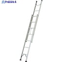 PiCa プッシュアップ式2連はしご 4M 脚部ドームジョイント 2SWA-D40C 1台 ■▼851-4718【代引決済不可】