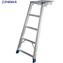 PiCa DWJ-150用タラップ DWJ-SW150 1台 ■▼851-5169 【送料都度見積】