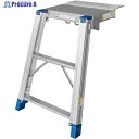 PiCa DWJ-96用タラップ DWJ-SW96 1本 ■▼851-5170 【送料都度見積】