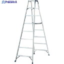 PiCa 専用脚立HM型 天板幅広 10尺 HM-C300 1台 ■▼542-6111【代引決済不可】