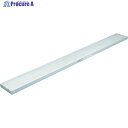ハセガワ ネオステージ NN型 3m×30cm NN-303 1台 ■▼851-5289 【送料都度見積】※個人宅様送り不可