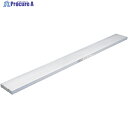 ハセガワ ネオステージ NN型 5m×30cm NN-305 1台 ■▼851-5291 【送料都度見積】※車上渡し※個人宅様送り不可