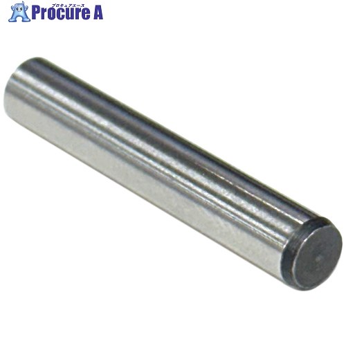 コノエ 平行ピンA種 S45C-Q 12×55 PARAPINA-45CQ-1255 1本 ■▼711-6936 【送料都度見積】