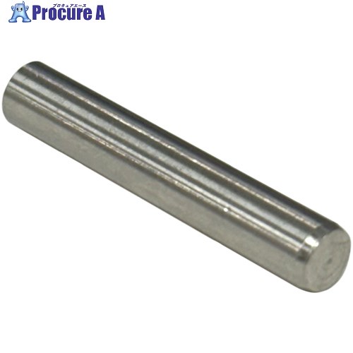 コノエ 平行ピンA種 SUS303 10×120 PARAPINA-SUS-10120 1本 ■▼712-1702 【送料都度見積】