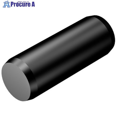 SANDVIK パラレルピン(810) 3111 020-580 (810) 1本 ■▼313-5723 【送料都度見積】 ●KO521