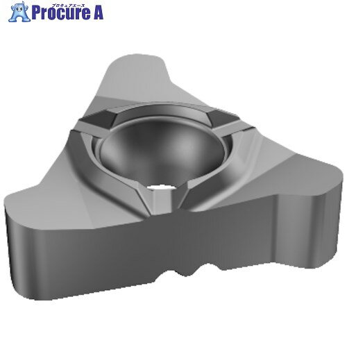 SANDVIK コロスレッド266 超硬ブランク(330) H13A 266RL-220000-600-BG H13A (330) 10個 ■▼314-2258 【送料都度見積】 ●KO521