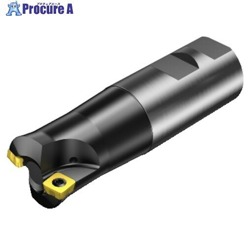 SANDVIK コロミル210 正面フライスカッター(450) RA210-035M32-09H (450) 1台 ■▼315-5210 【送料都度見..