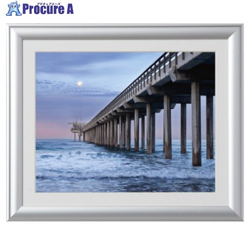 Kenko 1250274 アルミ額縁 ルック・マイルド 6切 シルバー ALM-6-SV ALM-6-SV 1枚 ▼414-1043