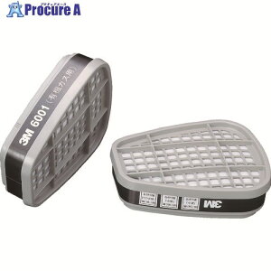 3M 防毒マスク用吸収缶 6001 2個入り 6001 1組 ▼330-5660
