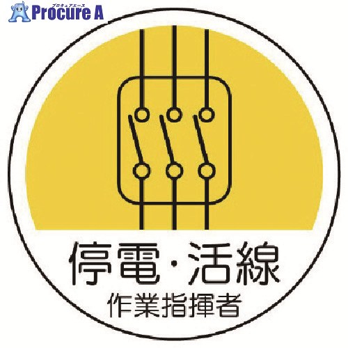 ץ奢㤨֥˥å ȴطƥåš PPƥå 35 2 370-71 1 739-3261פβǤʤ70ߤˤʤޤ