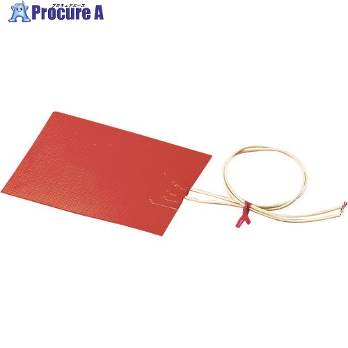 Ȭ ꥳСҡ30W SBH2123 (50X100) 1 282-8065