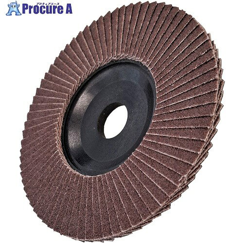 AC テクノディスクA #100 外径100×羽根長さ15×穴径16 TD10016-A-100 5枚 ▼306-2031