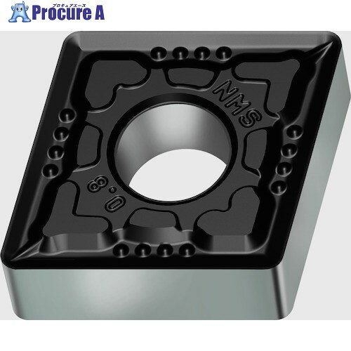 Walter 旋削加工用チップ 80°菱形ネガタイプ WSM20S CNMG120408-NMS WSM20S 10個 ▼413-3187 ●O585