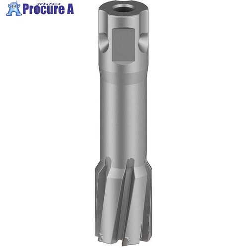 ボッシュ 磁気ボール盤用超硬カッター 22×50mm 2608577499 1本 ▼713-3871