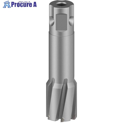 ボッシュ 磁気ボール盤用超硬カッター 24×50mm 2608577500 1本 ▼713-3875