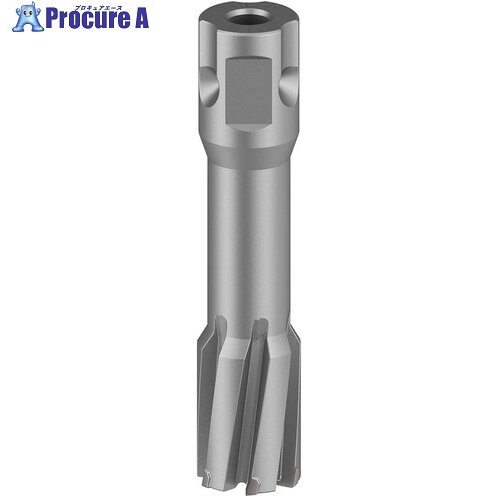 ボッシュ 磁気ボール盤用超硬カッター 20×50mm 2608577498 1本 ▼713-3880