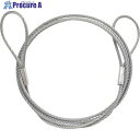 TRUSCO オールステンレスカットワイヤ 2.0ΦX900mm 両端アイ加工 SCW200-90 1本 ▼125-0210