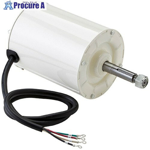 Suiden EEOQ-PT0.75KW4P T506 1208800000 1個 ■▼381-7141 【送料都度見積】