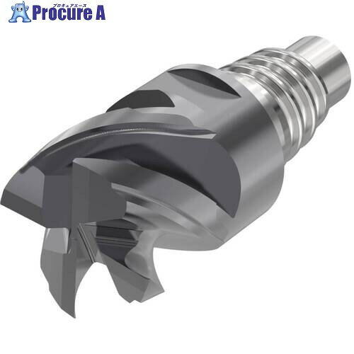 セコ ヘッド交換式エンドミル X-Heads XSE550・Z4 SIRA XSE550E12120D1CZ4 SIRA 1個 ▼693-8046