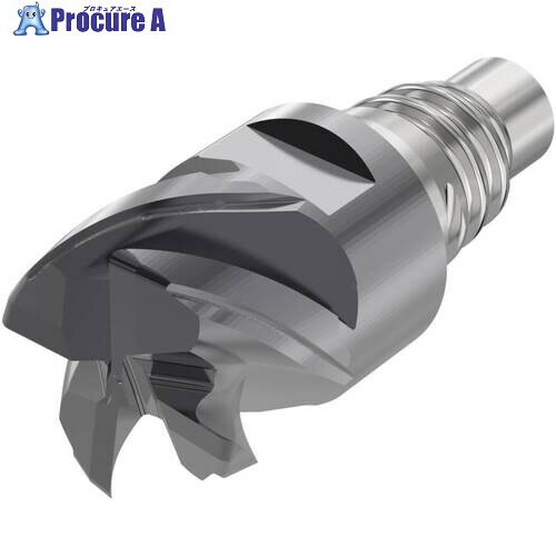 セコ ヘッド交換式エンドミル X-Heads XSE550・Z4 SIRA XSE550E16160D1R100Z4 SIRA 1個 ▼693-9664