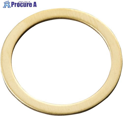 IWATA シムリングCUZN (10枚入)T0.1 RB005016010 1袋 ■▼178-8353 【送料都度見積】