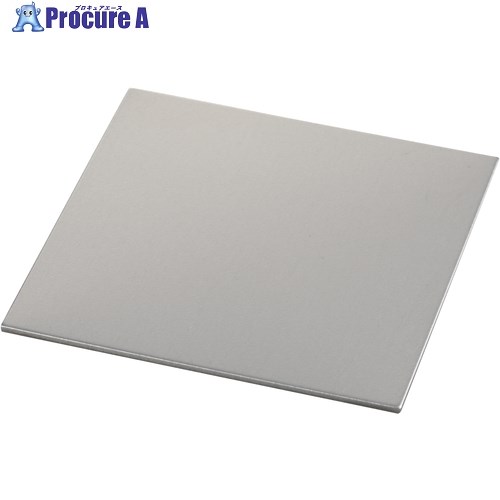 IWATA シムプレートFE TF100-200-01 1枚 ■▼222-5267 【送料都度見積】