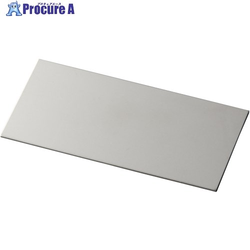 IWATA シムプレートSUS TS200-300-10 1枚 ■▼222-6421 【送料都度見積】