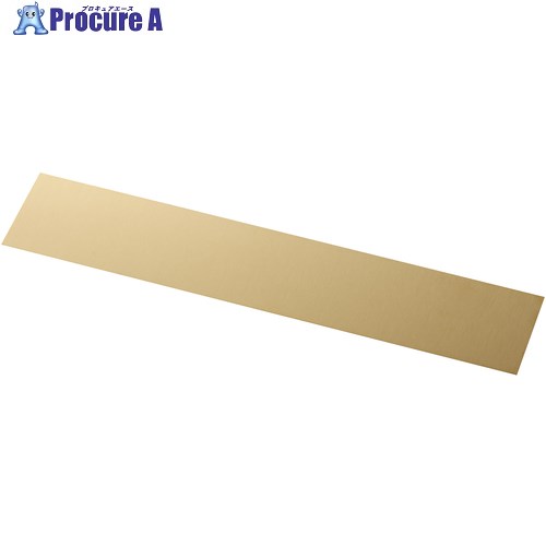 IWATA シムプレートCUZN TB200-300-025 1袋 ■▼370-0588 【送料都度見積】