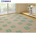 大島屋 防ダニ床保護シート 健康敷紙 3帖用 208x101cm 2枚入り 227364 1枚 ▼611-1861