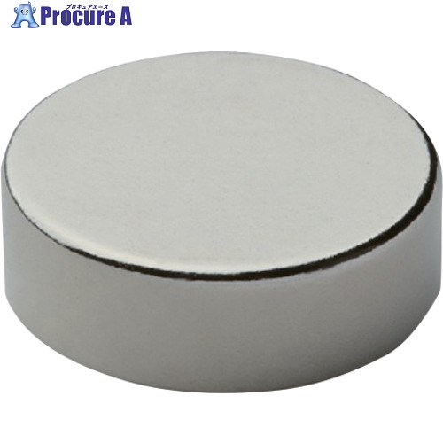 MAGEVER ネオジム磁石 丸型 Φ12×6 (10個入) 1012000065448 1袋 ▼669-3157
