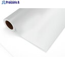 中川ケミカル 粗面対応装飾用粘着メディア テンタック TN003C 透明 1300mm×20m巻 TN13000003C20 1巻 ■▼535-2425 【送料...