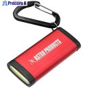 アストロプロダクツ AP 充電式LEDライトキーホルダー 2032000007220 1個 ■▼697-0375 【送料都度見積】