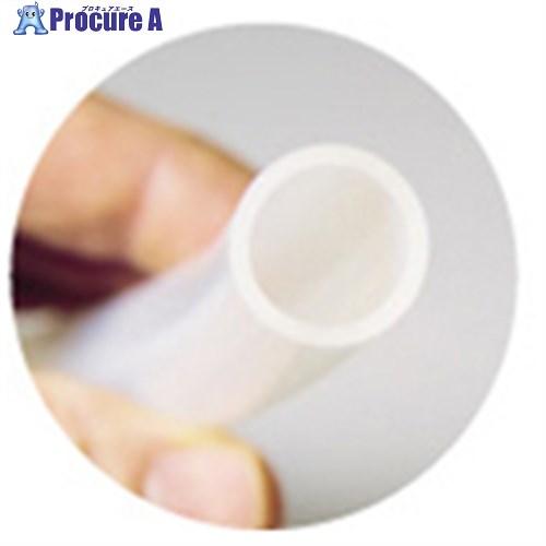 IWATA スプールチューブ 1m SS50/53-L1 1本 ▼171-8263