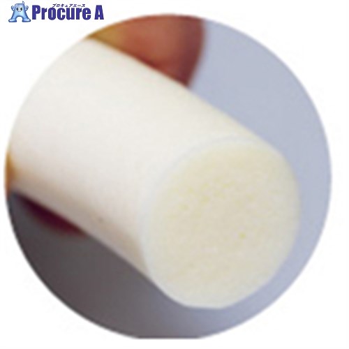 IWATA シリコンスポンジ 21m SP070-L21 1本 ■▼221-6773