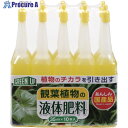 紀陽除虫菊 液体肥料(観葉植物用)35ml×10本入 K-2616 1個 ▼431-7040