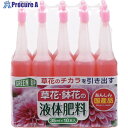 紀陽除虫菊 液体肥料(草花・鉢花用)35ml×10本入 K-2617 1個 ▼431-7045