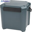 JEJアステージ クーラーボックス コアフラックス #34 CF-34IG CRFX34 1個 ▼695-7277