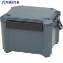 JEJアステージ クーラーボックス コアフラックス #12 CF-12IG CRFX12 1個 ▼700-3078