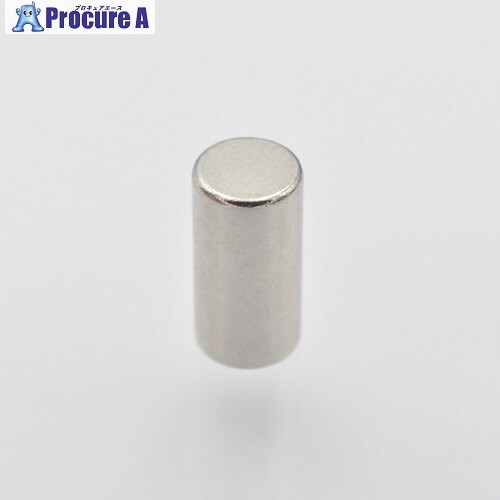 MAGNA ネオジム磁石 バー型 3φ×6 1-1036 1個 ■▼450-3358 【送料都度見積】