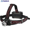 GENTOS Gシリーズ ハイブリッド式LEDヘッドライト 203RG GH-203RG 1個 ▼696-6644