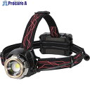 GENTOS Gシリーズ ハイブリッド式LEDヘッドライト 300RG GH-300RG 1個 ▼696-6666