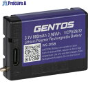 GENTOS 専用充電池 WSシリーズ専用充電池 WSー20SB WS-20SB 1個 ▼697-9472