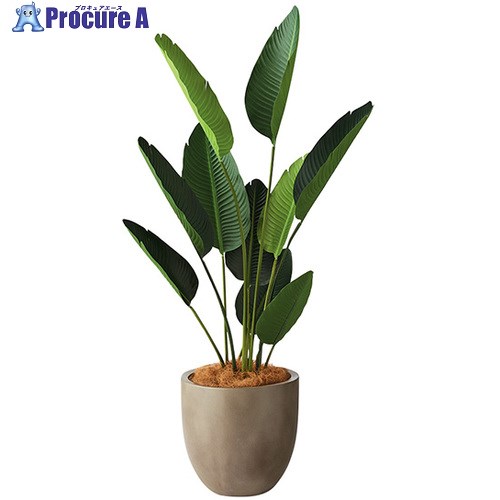 NAIKI 人工樹木(オーガスタ) AG601RP-MGL 1個 ■▼690-7455 ※個人宅様送り不可