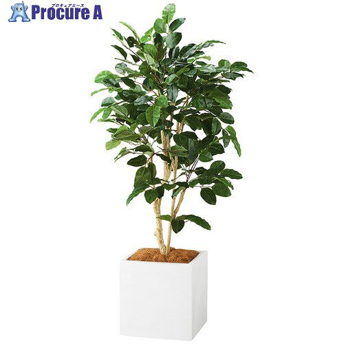 NAIKI 人工樹木(ベンガレンシス) AG621SP-WH 1個 ■▼690-8979 ※個人宅様送り不可