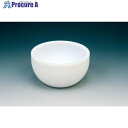 フロンケミカル PTFEるつぼ 25mL NR0124-002 1個 ■▼530-2345 【送料都度見積】